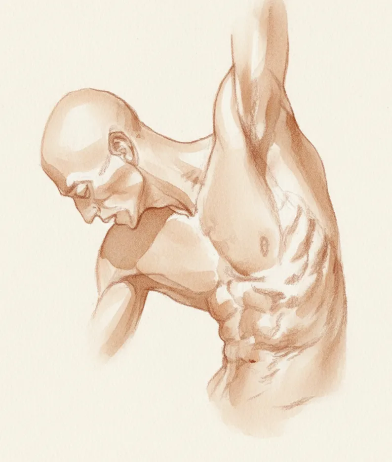 Estudio anatómico - perfil