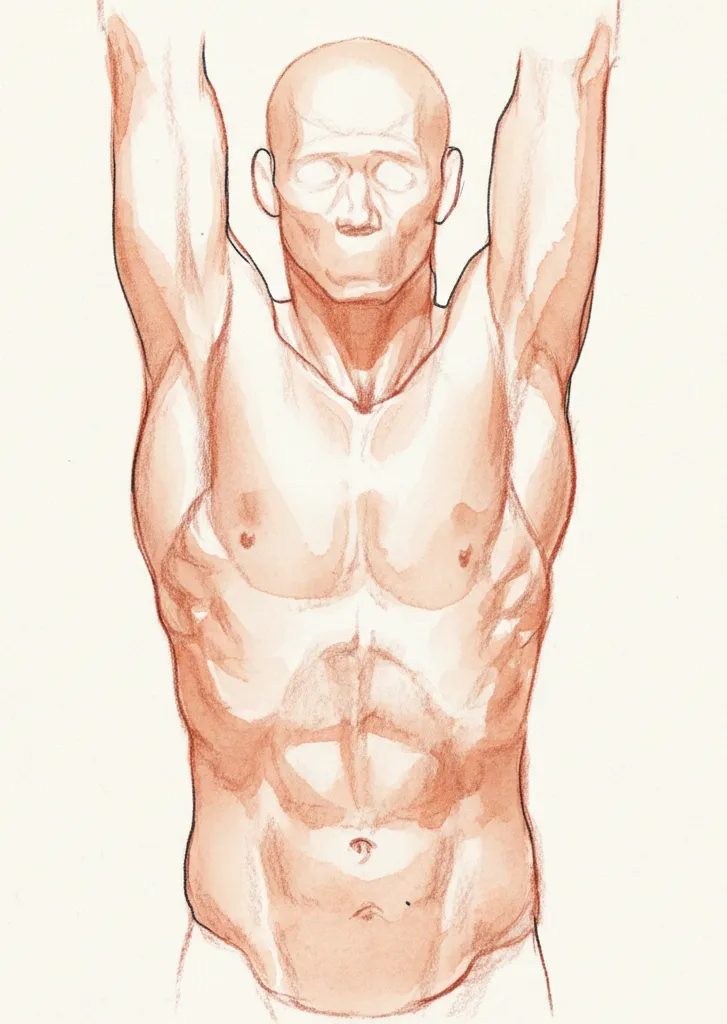 Estudio anatómico - postura